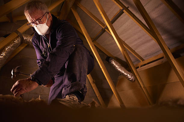 Best Commercial Insulation in Keaau, HI